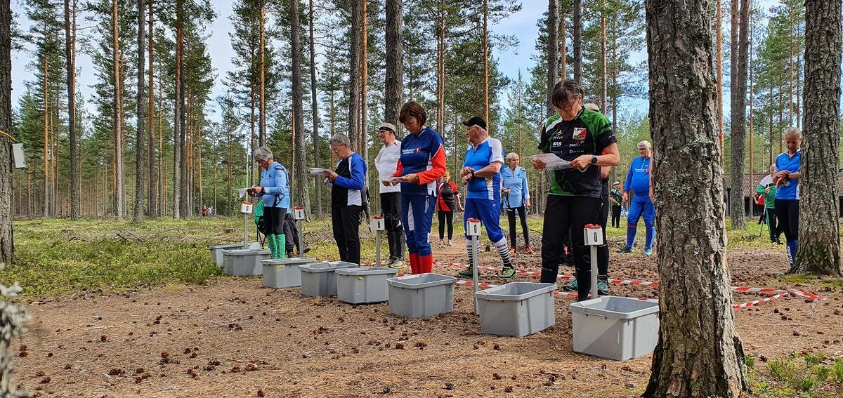 Bedrift-o Elverum (2)