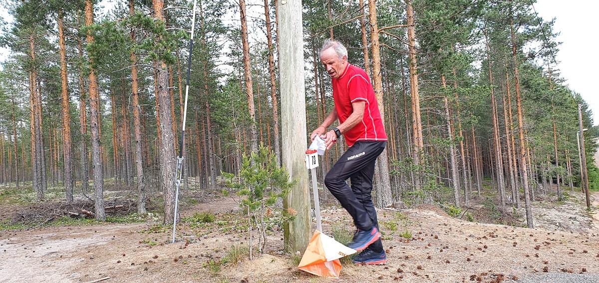 Bedrift-o Elverum (7)
