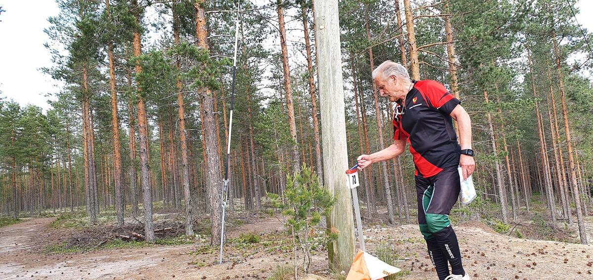 Bedrift-o Elverum (8)