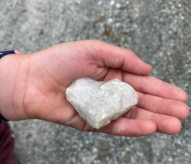 Stein formet som hjerte i hånd.