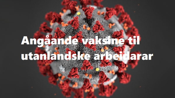 koronavirus-tema21 vaksine til utanlandske arbeidarar