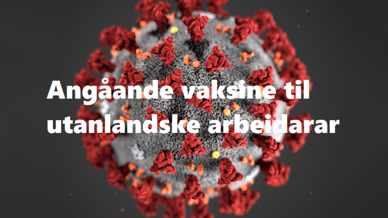 koronavirus-tema21 vaksine til utanlandske arbeidarar