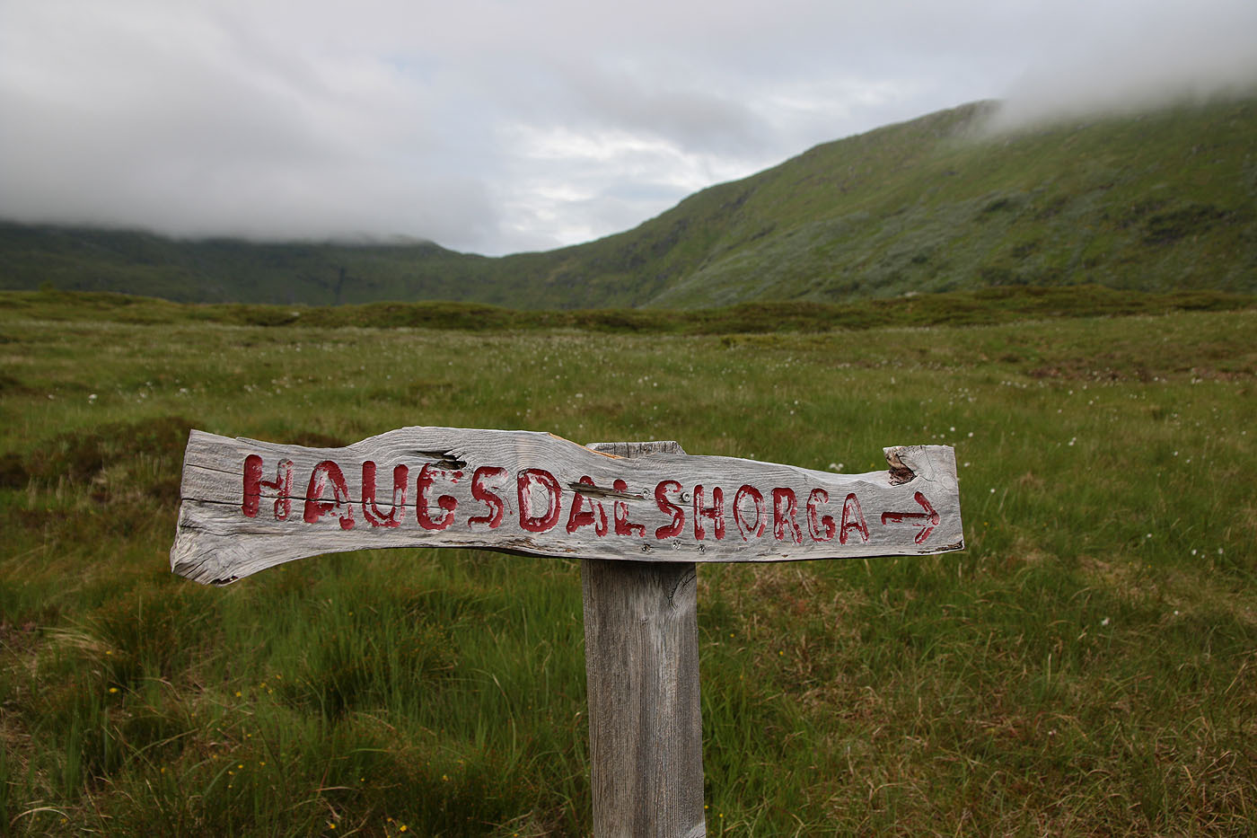 _FILNAVN.jpg