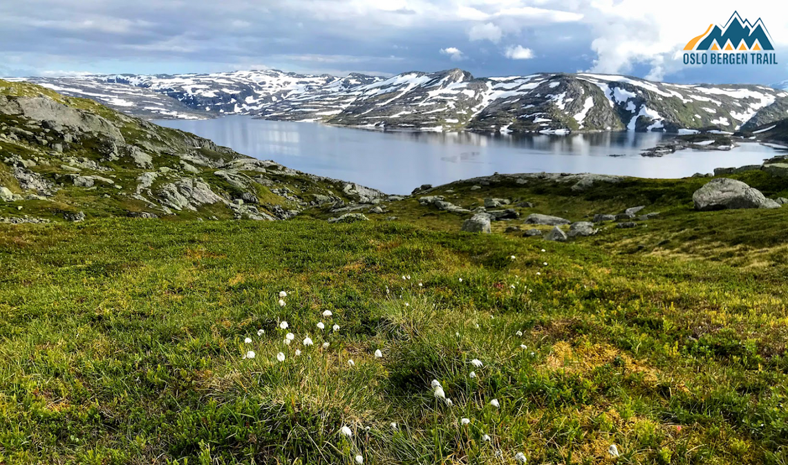 Det er mye vakker natur der løperne passerer på vei til Bergen - og i flott vær blir jo det en ekstra bonus.