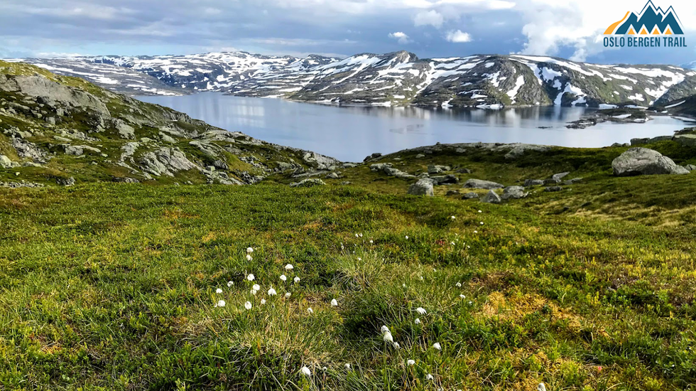 Det er mye vakker natur der løperne passerer på vei til Bergen - og i flott vær blir jo det en ekstra bonus.