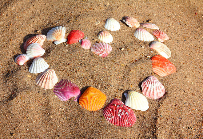 heart symbol from shells on sand