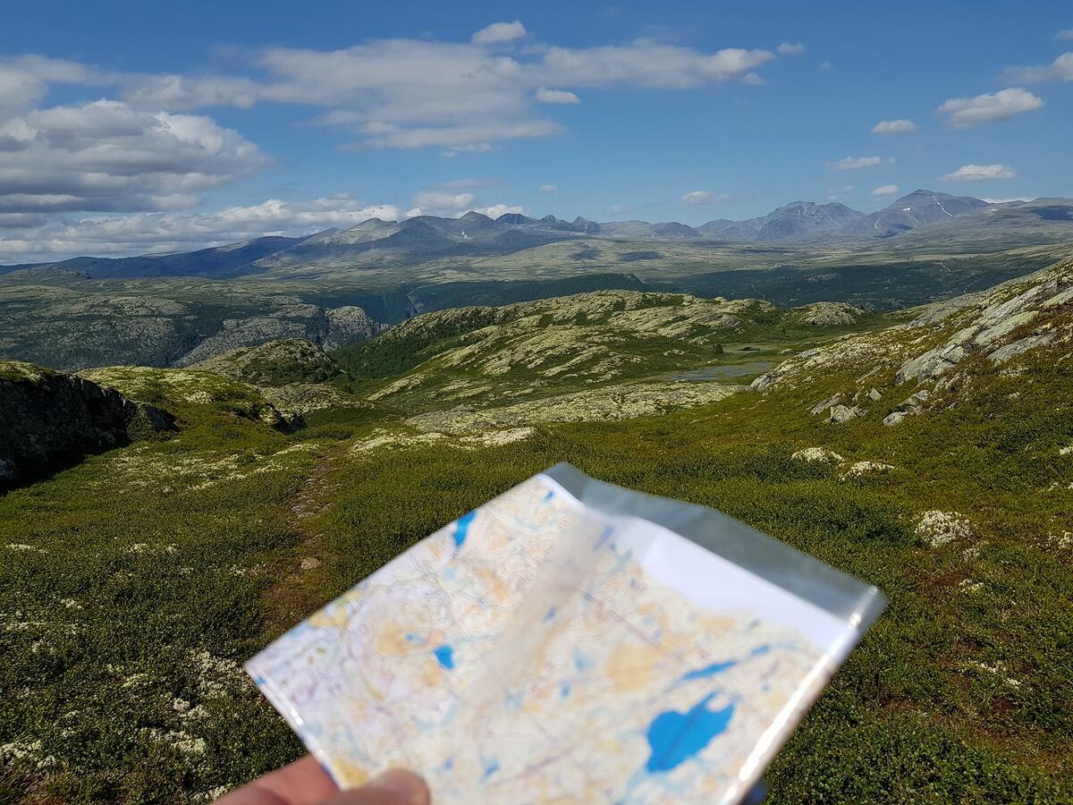 Bare å nyte utsikten.