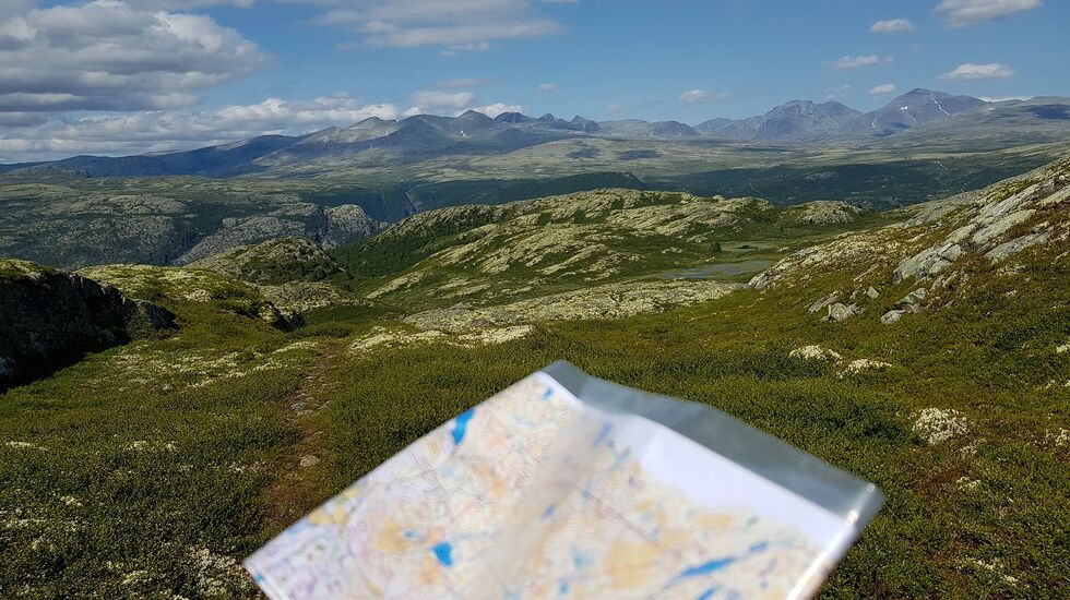 Bare å nyte utsikten i løypa.