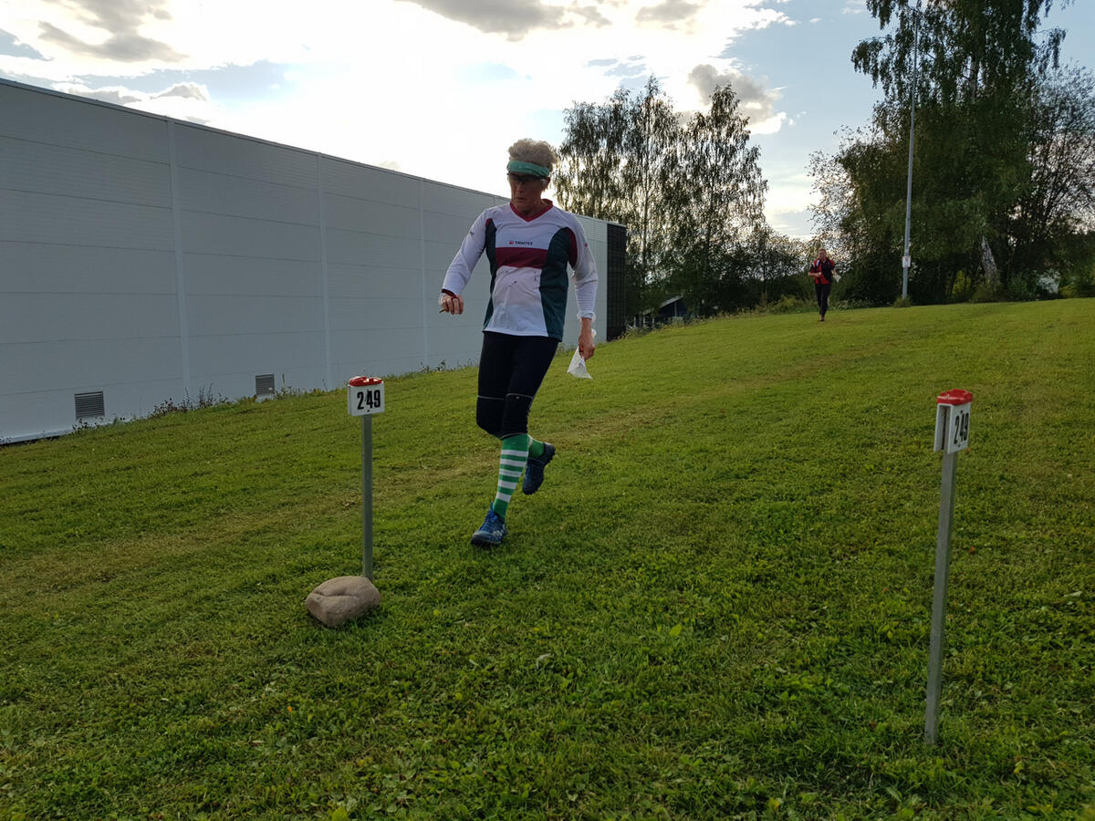 Furuberget (12)