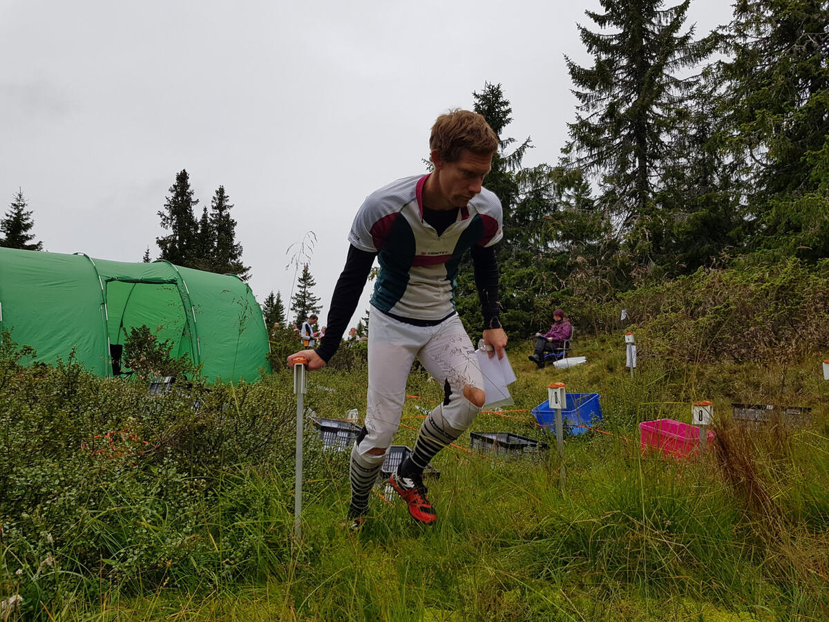 Fjelldilten 2021 (1)