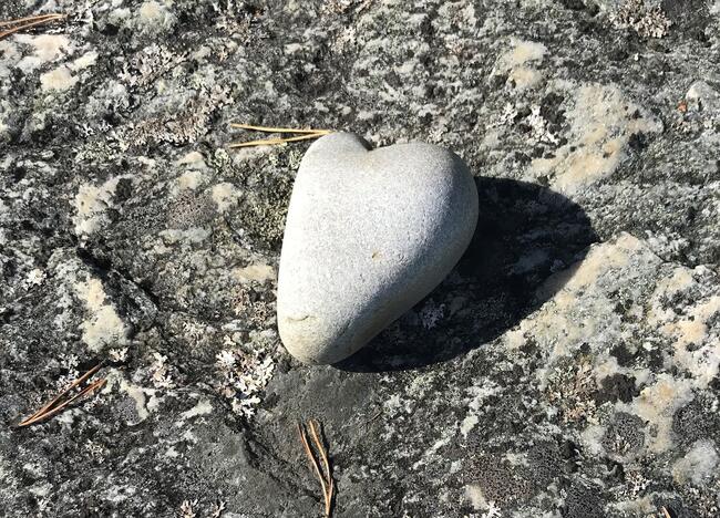 Hjertestein på stein