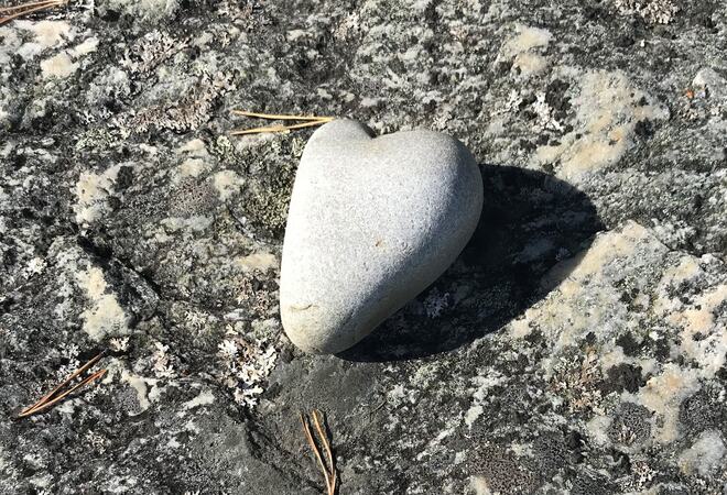 Hjertestein på stein