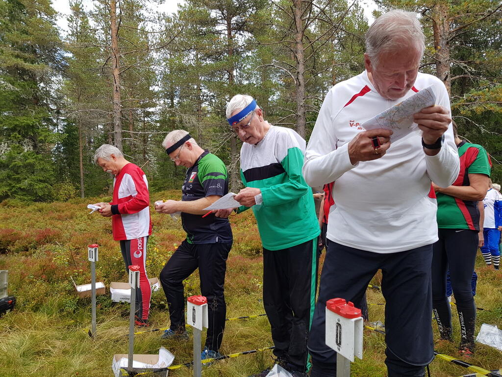 Dypt konsentrerte o-løpere mens de venter på startsignalet.