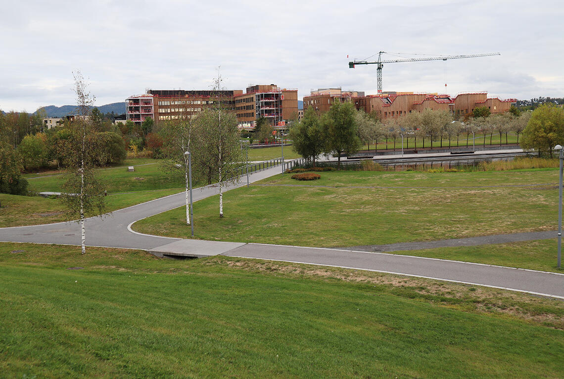 Til lørdag arrangeres det parkrun for første gang i Nansenparken ved Fornebu utenfor Oslo. (Alle foto: arrangøren)
