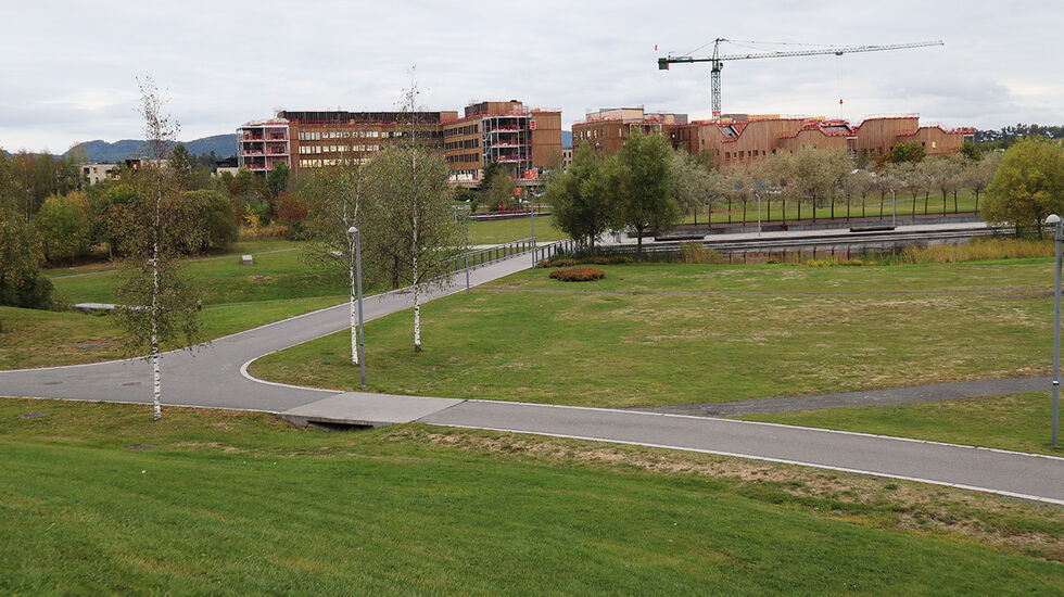 Til lørdag arrangeres det parkrun for første gang i Nansenparken ved Fornebu utenfor Oslo. (Alle foto: arrangøren)