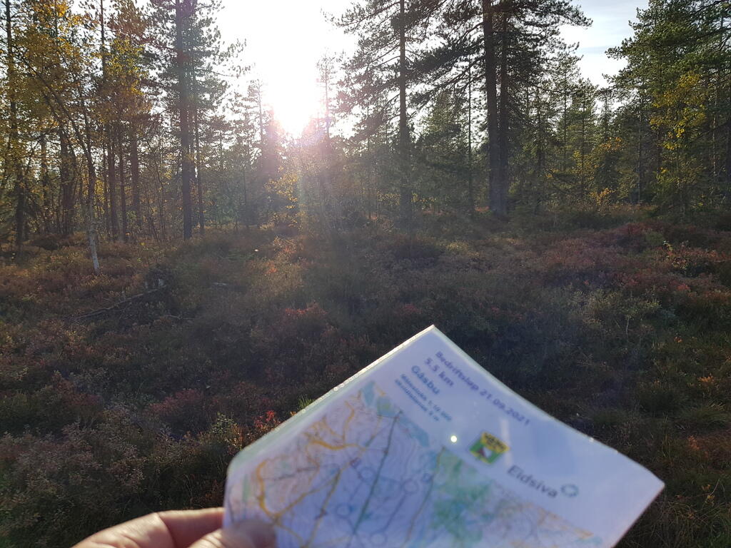 Lav kveldssol noen plasser i løypa