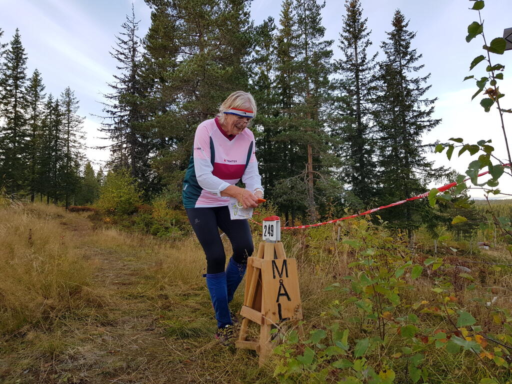 Rigmor Lømo Aas målstempler