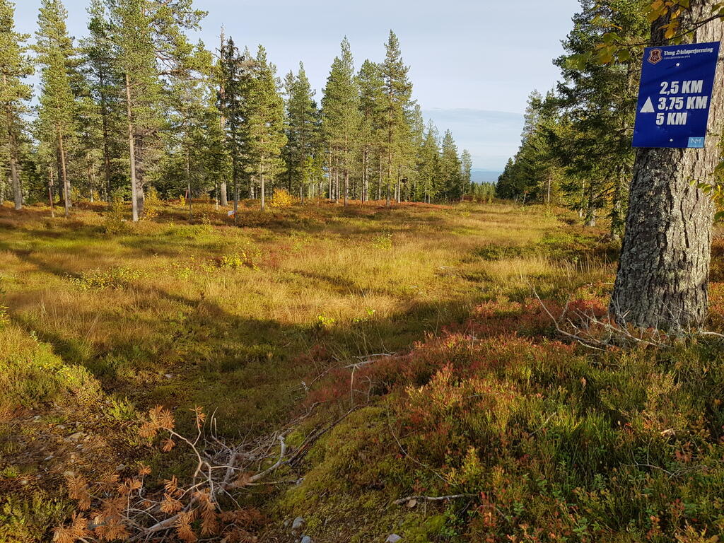 En post i nærheten av NM løypa