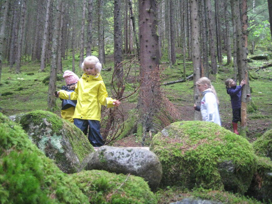 Barn som leikar i skogen, fine grønfargar.