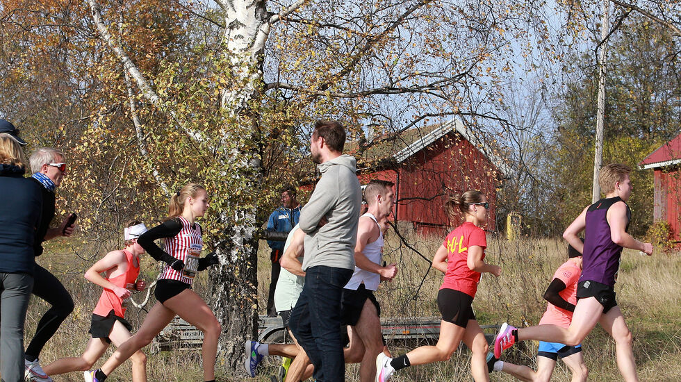 Fra Hytteplanmila 2021 - etter 2,5 km. (Foto: Kjell Vigestad)
