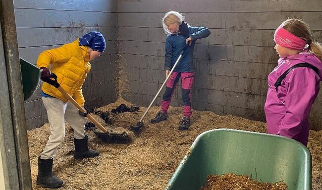 Tre barn rengjør i stall.
