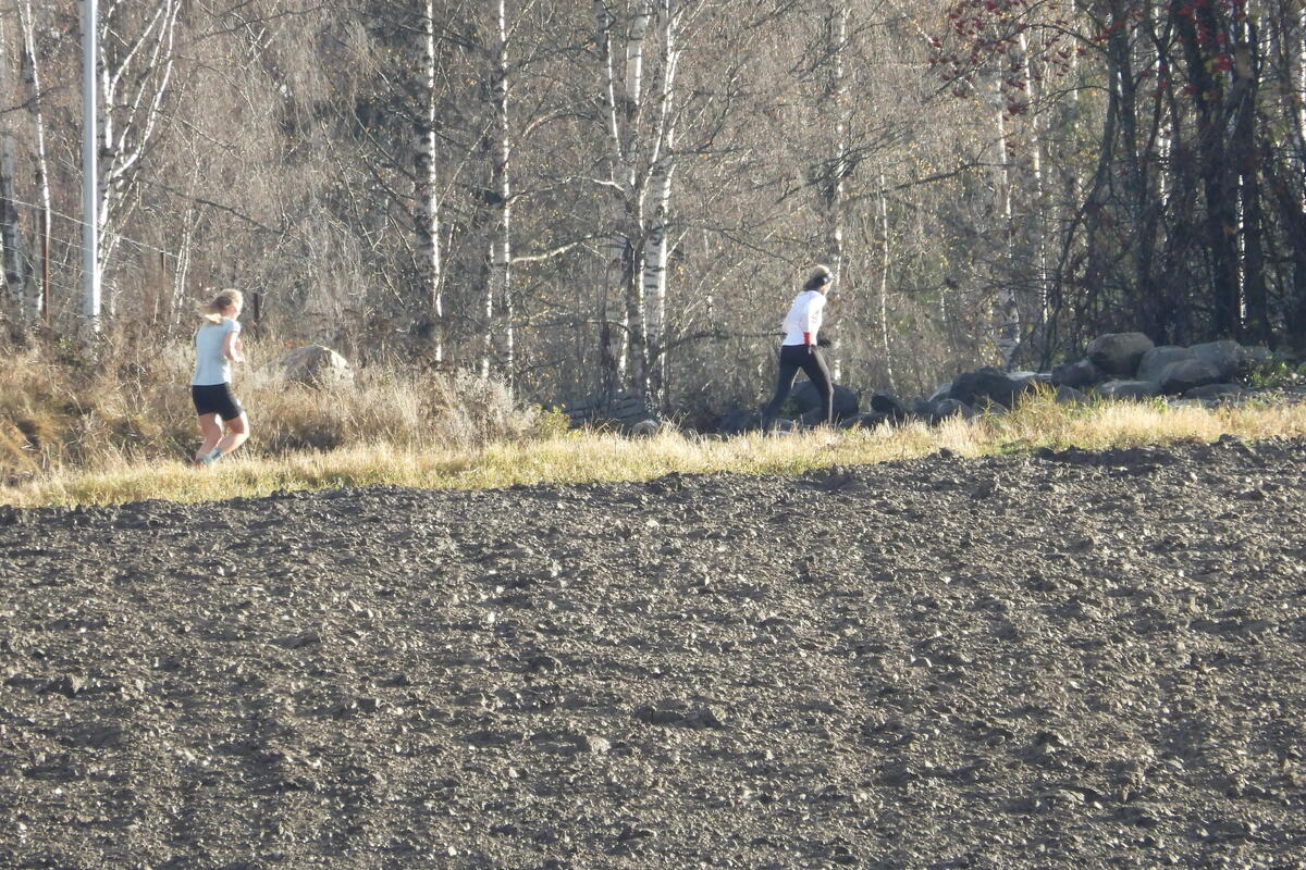 Ottestad Rundt (43)