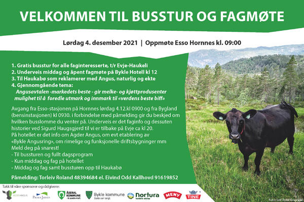 Busstur Evje Haukeli_1611_2
