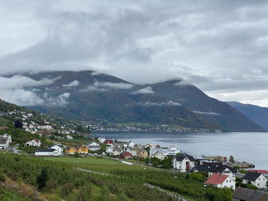 Hus og fjord, oversynsbilete