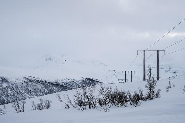 Electric poles in the snow