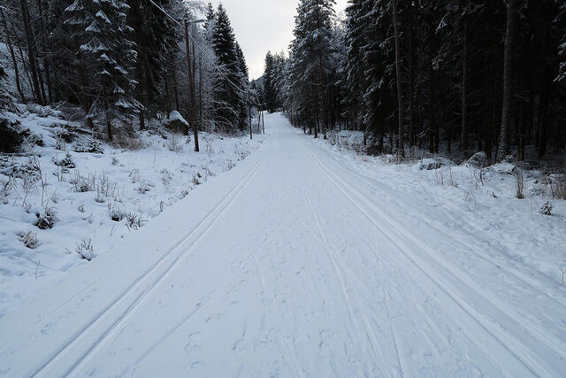 Invitasjon: Når andre lager spor til deg, må du nesten bare komme deg ut. (Foto: Cristina Pulido Ulvang)