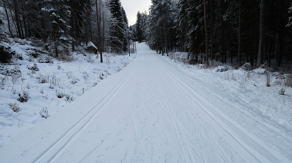 Invitasjon: Når andre lager spor til deg, må du nesten bare komme deg ut. (Foto: Cristina Pulido Ulvang)