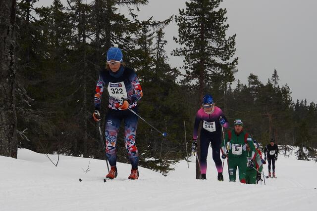 Budorrennet (52)