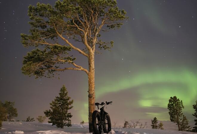 Fatbike hviler inntil et tre med nordlys på himmelen