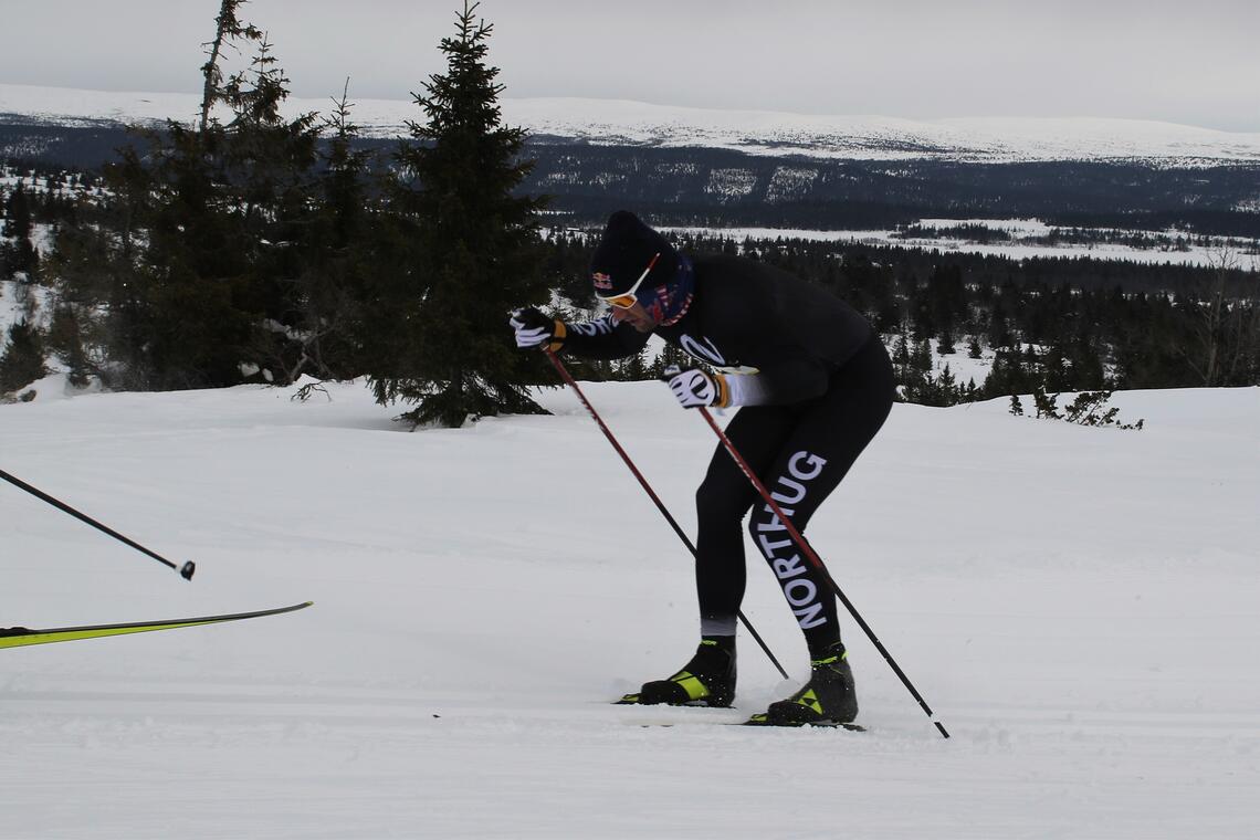 Petter Northug jr. staker seg opp til Kriksfjell rett før løypas høyeste punkt. (Foto: Rolf Bakken)