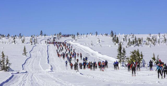 Birken besluttet å ikke tillate russiske og hviterussiske deltakere og team i Birkebeinerrennet 2022. (Foto: Birken)