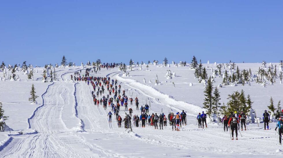 Birken besluttet å ikke tillate russiske og hviterussiske deltakere og team i Birkebeinerrennet 2022. (Foto: Birken)