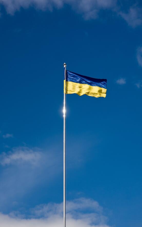 Ukrainsk flagg