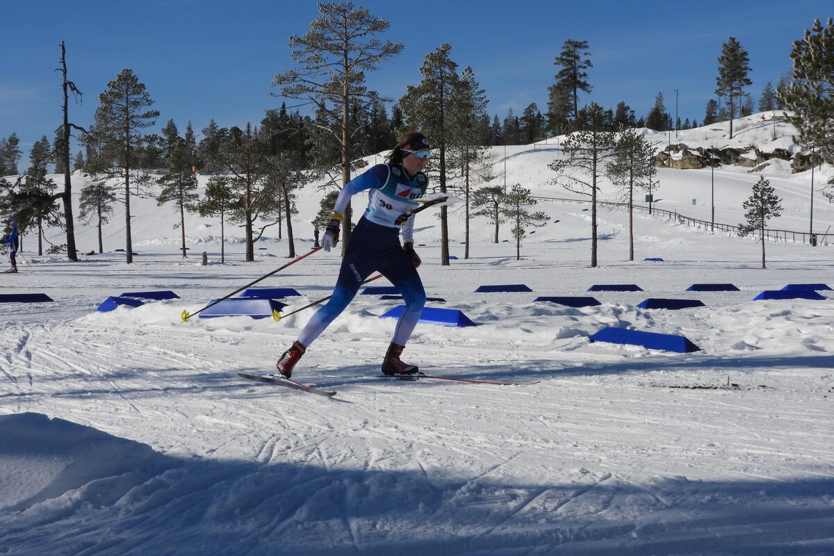Asne Haavengen nr. 2 D17-20
