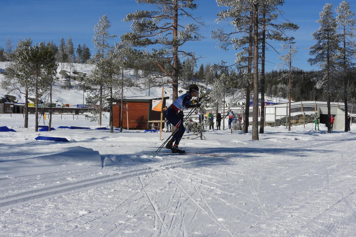 Aslak Heimdal 56 nr. 3 H21