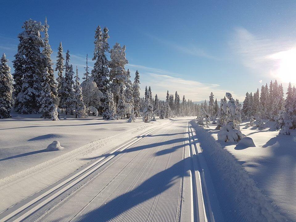 Ren vinteridyll i Kittillirennet i 2019. (Arrangørfoto)