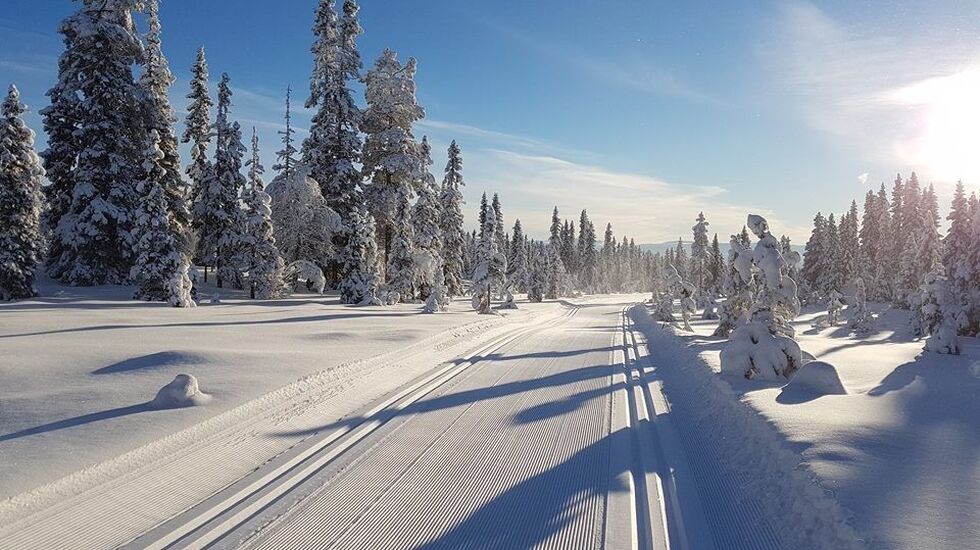 Ren vinteridyll i Kittillirennet i 2019. (Arrangørfoto)