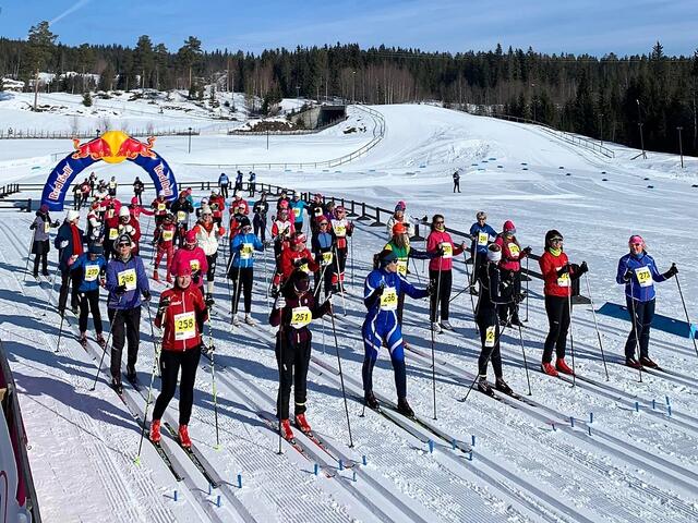 Fra en av startpuljene på den mest populære distansen, 15 km med tid, med 168 fullførende i den velkjente Ingalåmi-runden om Mesnasaga. (Foto fra Ingalåmis facebookside) Fra en av startpuljene på den mest populære distansen, 15 km med tid, med 168 fullførende i den velkjente Ingalåmi-runden om Mesnasaga. (Foto fra Ingalåmis facebookside)