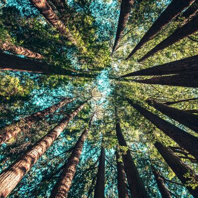 casey horner  4rDCa 5hBlCs unsplash