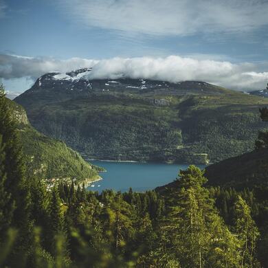 photo  1564252533794 eed 8c 7876e 89