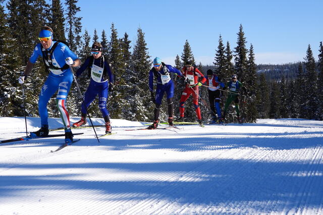 An av tetgruppene i Skøytebirken på vei opp mot Kvarstadsætra. (Foto: Stein Arne Negård)