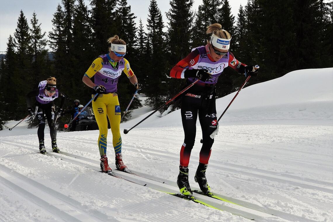 Therese Johaug i tet, foran Astrid Øyre Slind (som vant) og Emilie Fleten. (Foto: Stein Arne Negård))