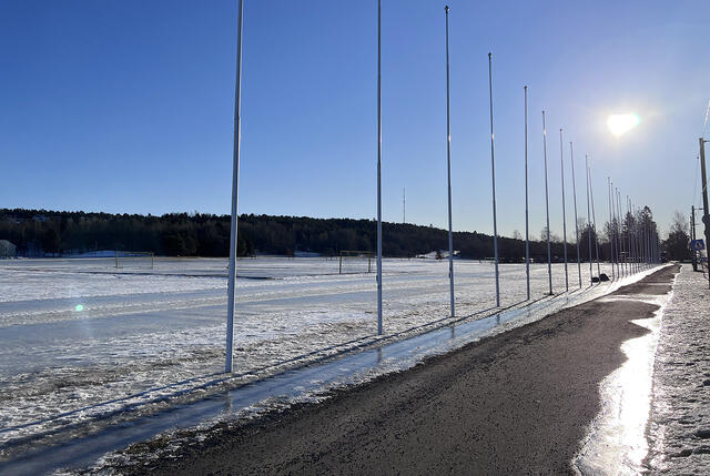 Vår i emning: Det kan være vanskelig å snike seg til en løpetur, men det er alltid verdt det. (Foto: Cristina Pulido Ulvang)