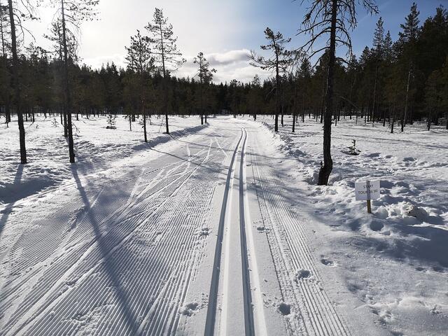 Både skarp sol og skarpt føre på Tour de ski-etappen på Ørtjern lørdag. (Foto: Rolf Bakken)