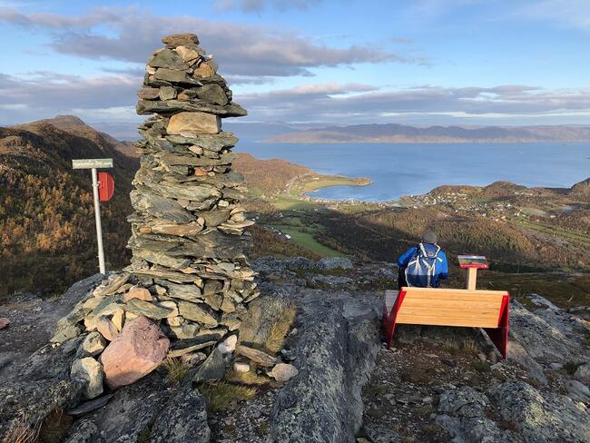 Fjelltopp