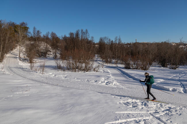 Foto: Lars Abrahamsen